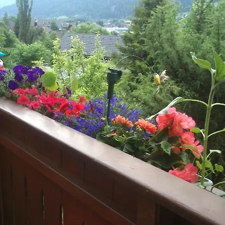 Haus Ilona *